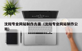 盐城沈阳专业网站制作方案（沈阳专业网站制作公司）